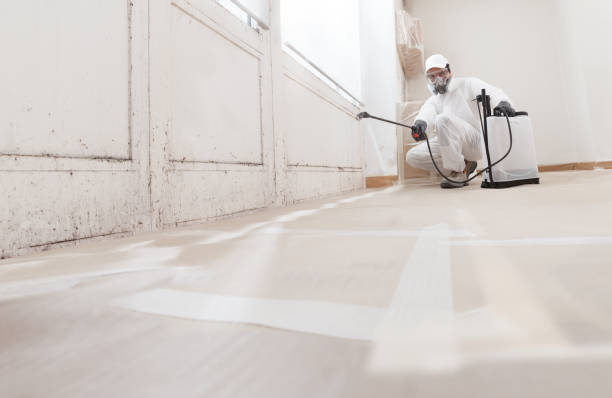 24/7 Emergency Crawl Space Mold Removal experts in East Boston, MA